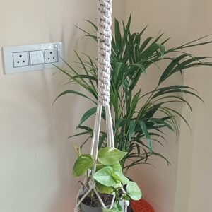 Crown Knot Macrame Plant Hanger