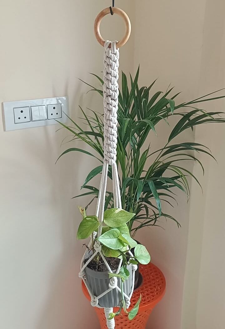 Crown Knot Macrame Plant Hanger