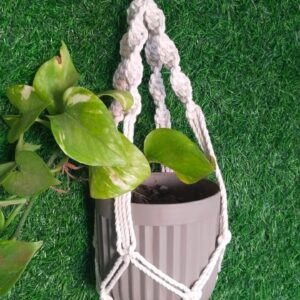 Macrame Plant Hanger | A3 | Harmony Hanger