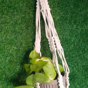 Macrame Plant Hanger | A2 | Harmony Hanger