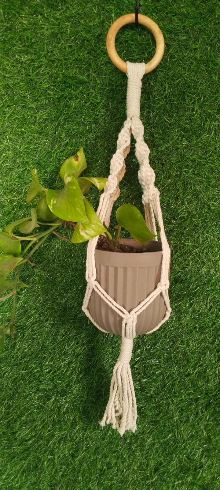 Macrame Plant Hanger | Plant Loom