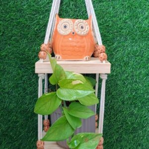 Natural Wooden Macrame Shelf