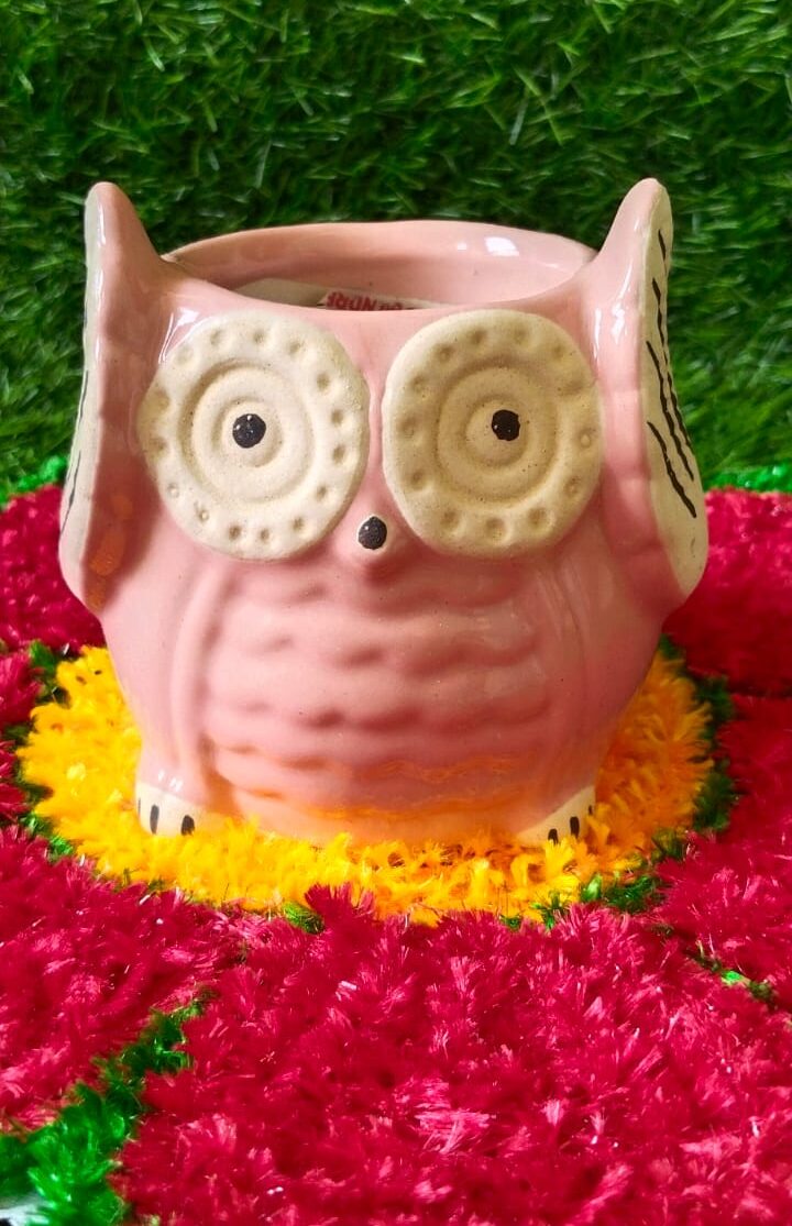 Ceramic Owl | Pink | Knotty Pots