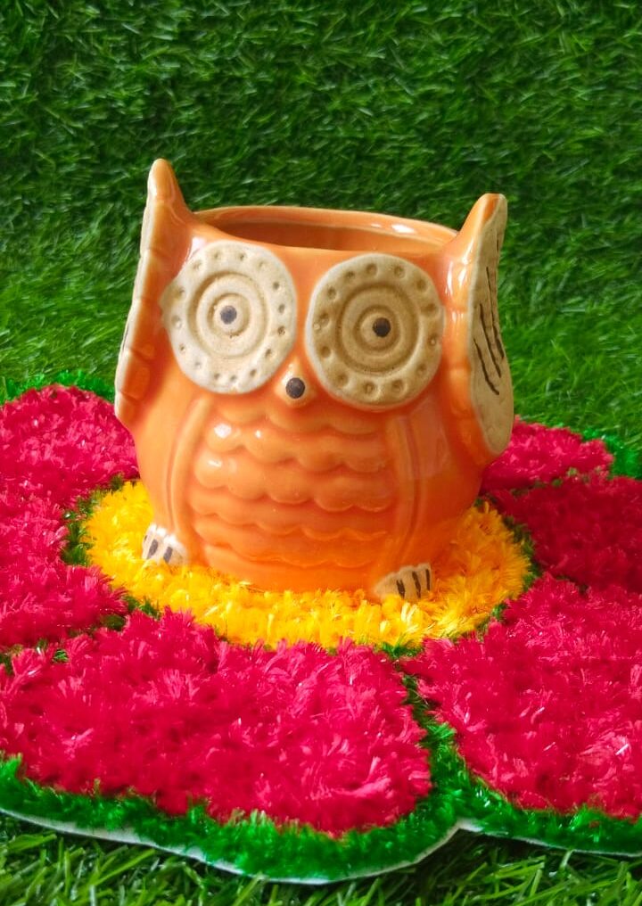 WhatsApp Image 2025-10-01 at 9.19.18 PM